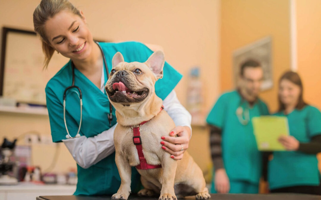 Veterinary Supplies