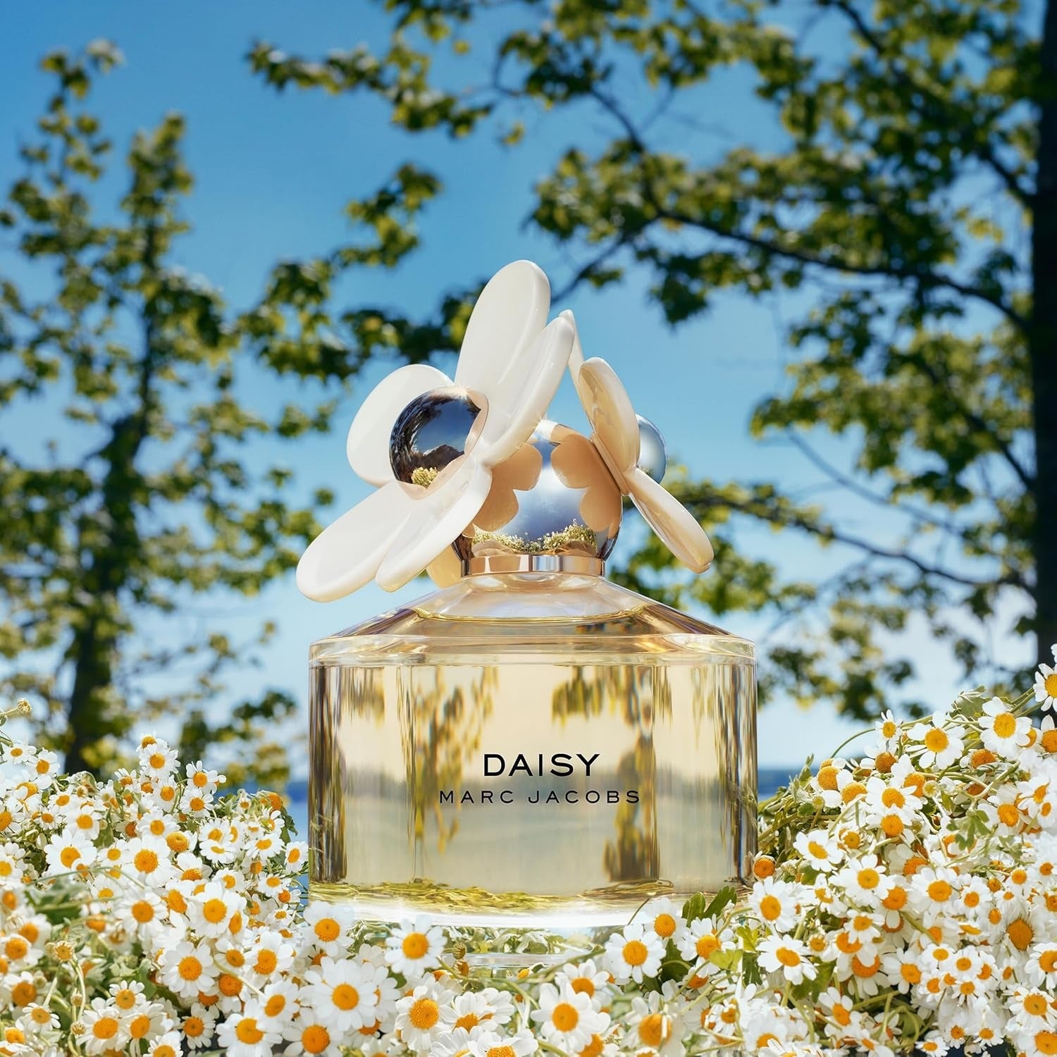 Preloved Marc Jacobs Daisy EDT 3.4 OZ