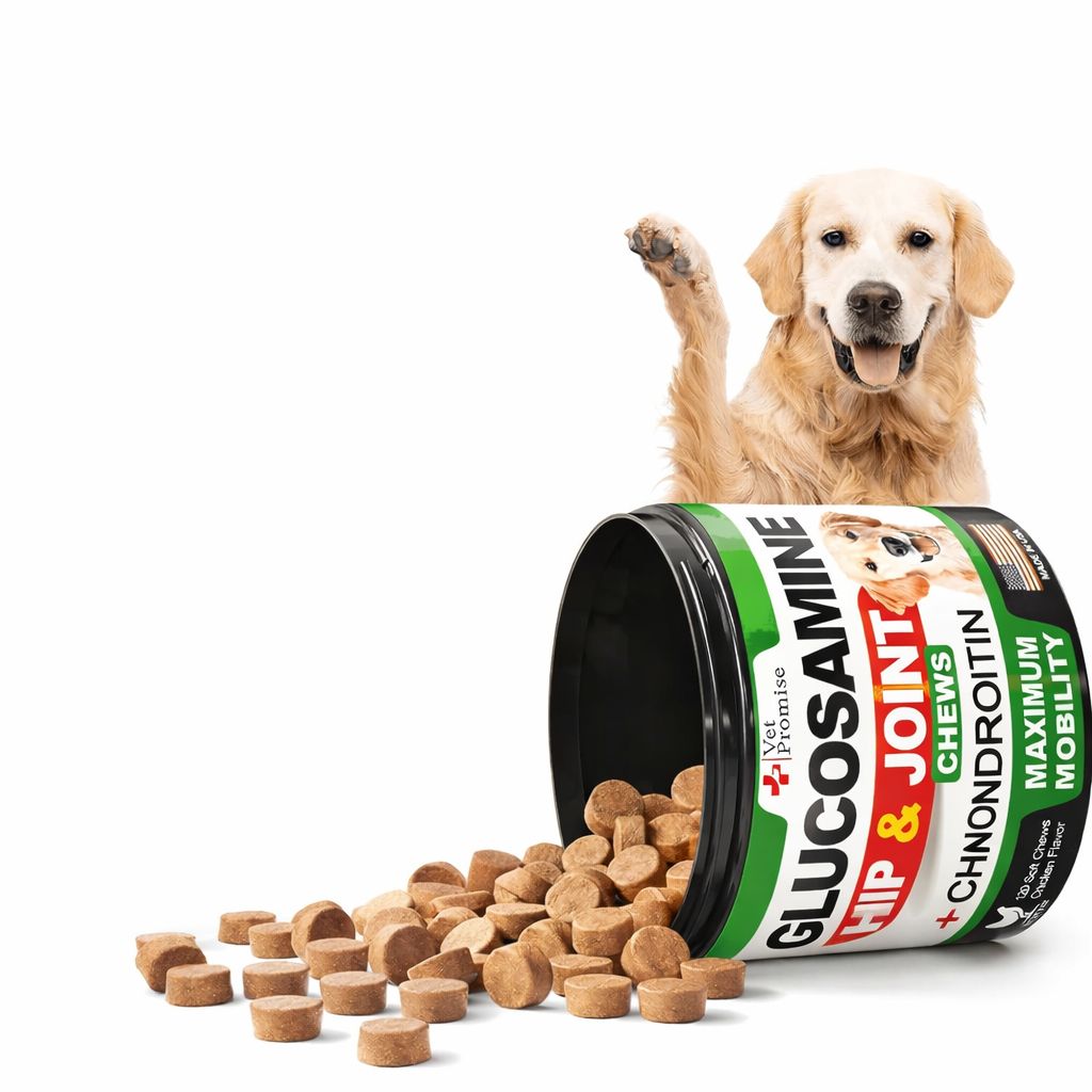 Glucosamine for Dogs