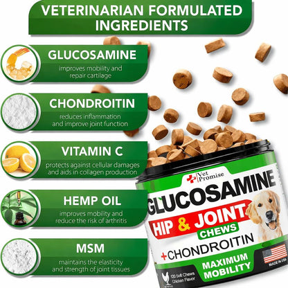 Glucosamine for Dogs